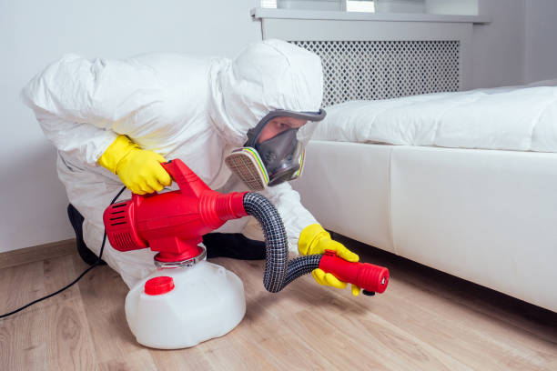 Best Pest Control for Homes  in Lovettsville, VA