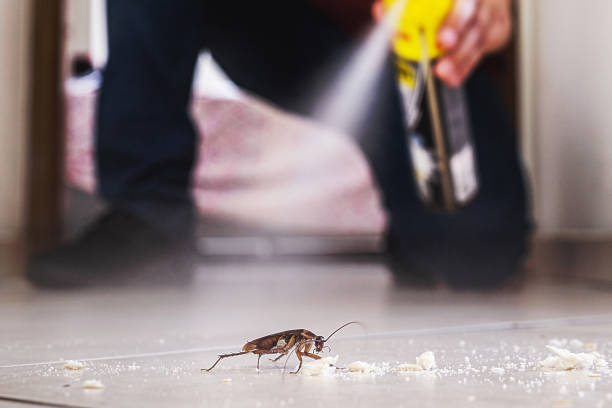 Best Pest Control for Restaurants  in Lovettsville, VA