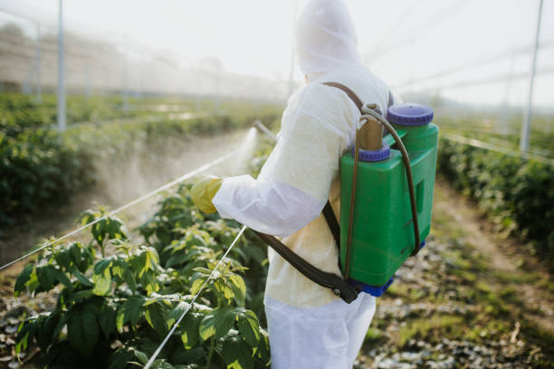 Best Pest Inspection Near Me  in Lovettsville, VA